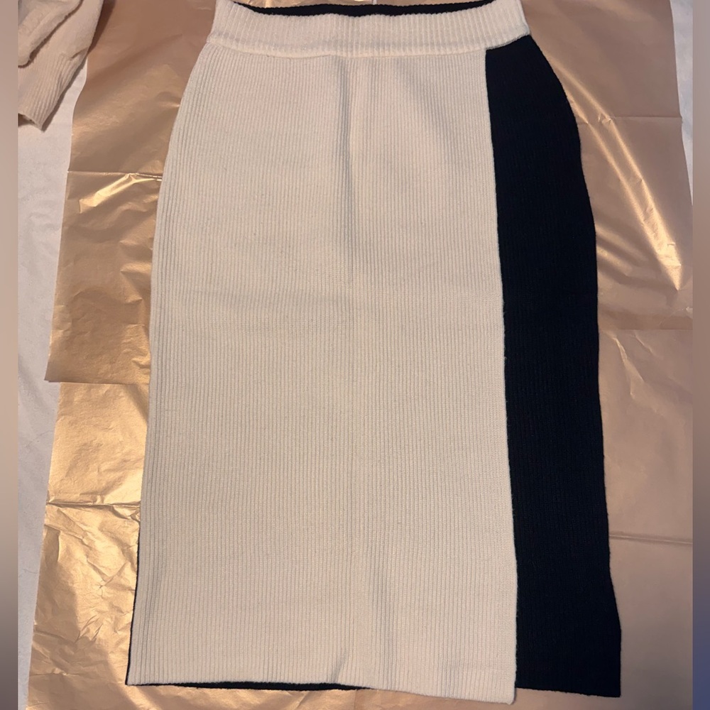 Express Black and White Pencil Skirt